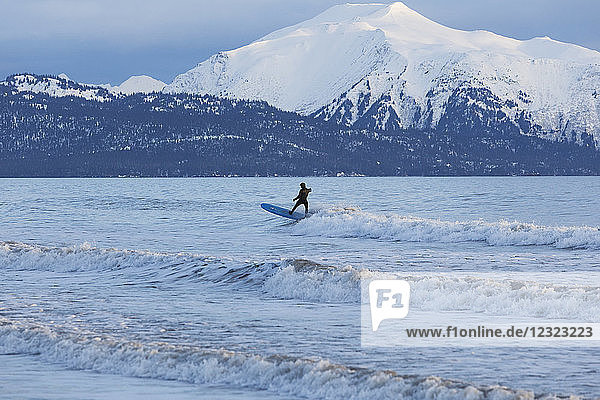 Surfer riding waves in Kachemak Bay  South-central Alaska; Homer  Alaska  United States of America