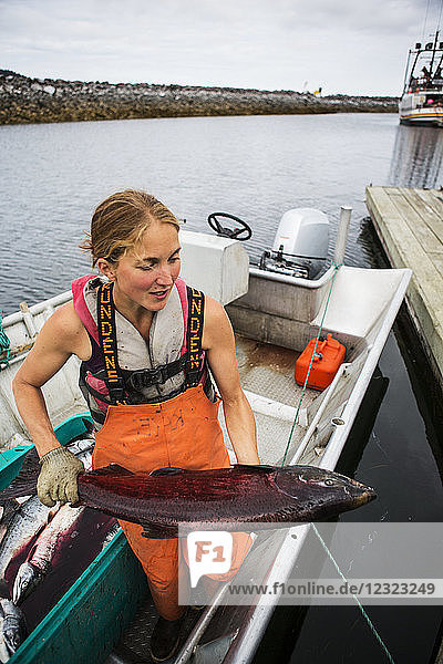 Woman delivering salmon to the dock from her set-net skiff  Seldovia  South-central Alaska; Alaska  United States of America