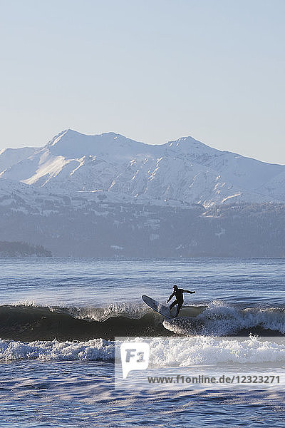 Man surfing in Kachemak Bay  South-central Alaska; Homer Spit  Alaska  United States of America