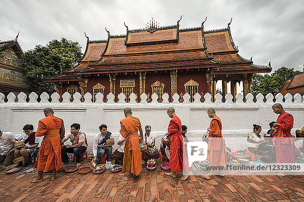 Buddhistische Mönche nehmen in der Morgendämmerung auf der Sisavangvong Road Almosen entgegen; Luang Prabang  Luang Prabang  Laos