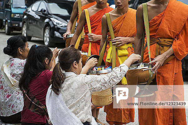 Buddhistische Mönche nehmen in der Morgendämmerung auf der Khounsua Road Almosen entgegen; Luang Prabang  Luang Prabang  Laos