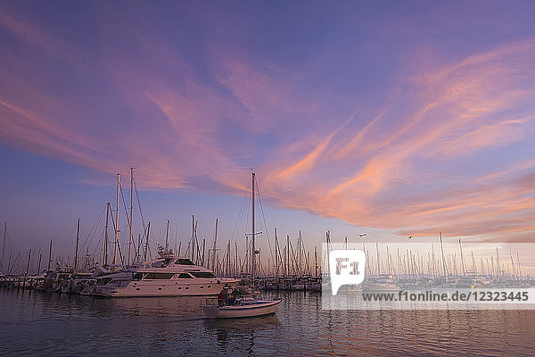 Yachthafen mit Segelbooten und Yachten bei Sonnenuntergang; Santa Barbara  Kalifornien  Vereinigte Staaten von Amerika