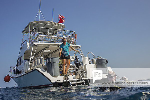 Taucher wird vom Kapitän des Tauchboots am Ende des Tauchgangs vor der Küste von Kona begrüßt; Insel Hawaii  Hawaii  Vereinigte Staaten von Amerika