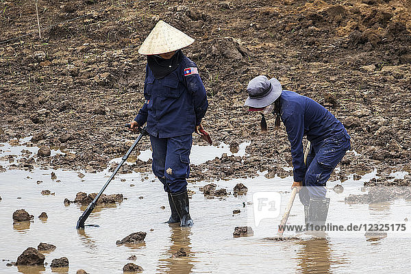 Women using a metal detector while clearing landmines in a field near Phonsavan; Xiangkhouang Laos