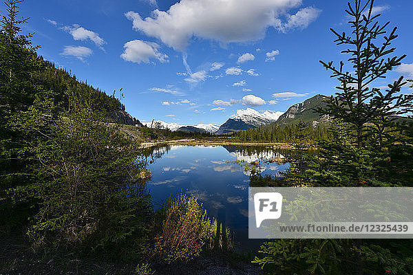 Mount Rundle über Vermilion Lakes gesehen  Banff National Park; Alberta  Kanada
