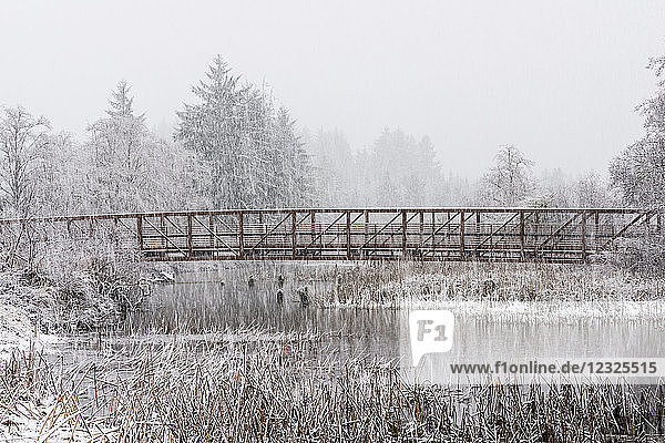 Schneefall unterstreicht eine rustikale Szene mit einem Steg über einen Teich im westlichen Oregon; Astoria  Oregon  Vereinigte Staaten von Amerika