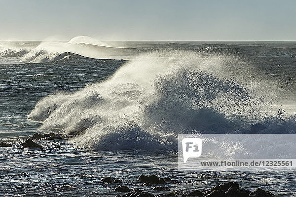 Brechende Wellen  die am Strand von Hookipa in der Nähe von Paia an Land kommen; Maui  Hawaii  Vereinigte Staaten von Amerika