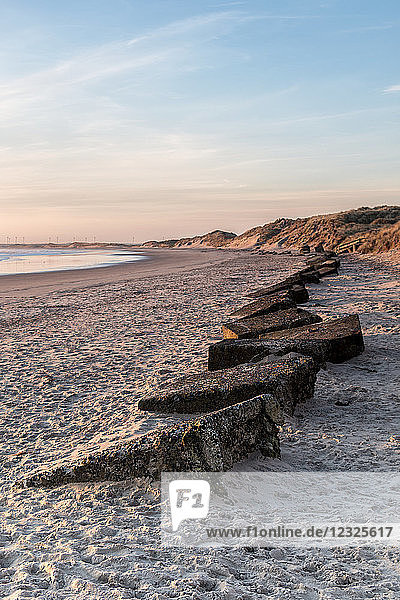 Frühmorgendliche Ansicht des Strandes von Amble mit einer Reihe von im Sand eingegrabenen Betonverteidigungsanlagen aus dem Zweiten Weltkrieg; Amble by the Sea  Northumberland  England