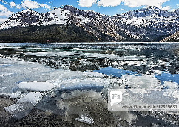 Pieces of ice broken along the shoreline of Bow Lake with the Rocky Mountains reflected in the water  Banff National Park; Alberta  Canada