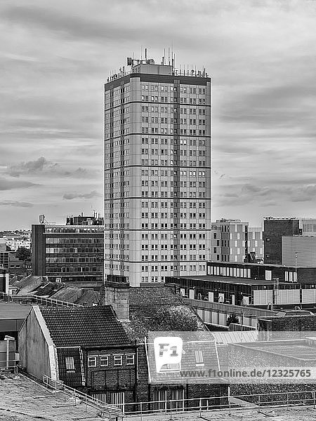 Stadthochhaus  das die Dächer der umliegenden Gebäude überragt; Newcastle Upon Tyne  Tyne and Wear  England