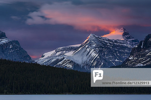 Der Sonnenaufgang beleuchtet die Gipfel der Rocky Mountains über dem Bow Lake  Banff National Park; Improvement District No. 9  Alberta  Kanada