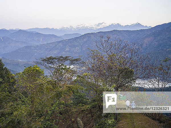 Glenburn Teeplantage und Anwesen  ein himmlischer kleiner Rückzugsort auf einer Anhöhe über den Ufern des Flusses Rungeet  hoch im Himalaya  überragt von der mächtigen Kanchenjunga-Bergkette  Darjeeling; Westbengalen  Indien