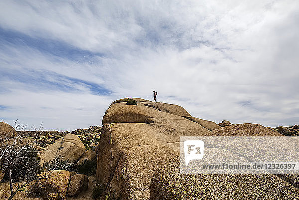 A hiker in Joshua Tree National Park; California  United States of America