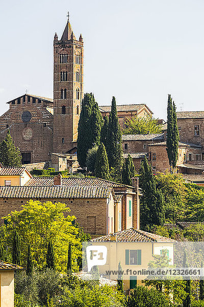 Stone buildings and church on landscape covered with trees; Siena  Tuscany  Italy