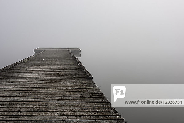 Ein kleiner Holzsteg mit dichtem Nebel am Ende über dem Wasser des Scott Lake im Herbst; Olympia  Washington  Vereinigte Staaten von Amerika