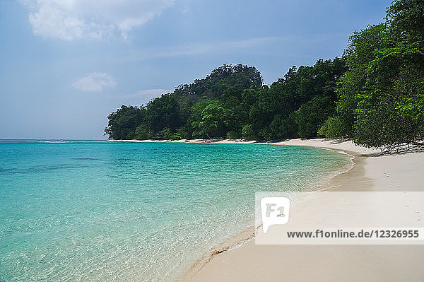 Tropischer Strand mit weißem Sand  blauem Himmel und türkisfarbenem Wasser; Andamanen-Inseln  Indien