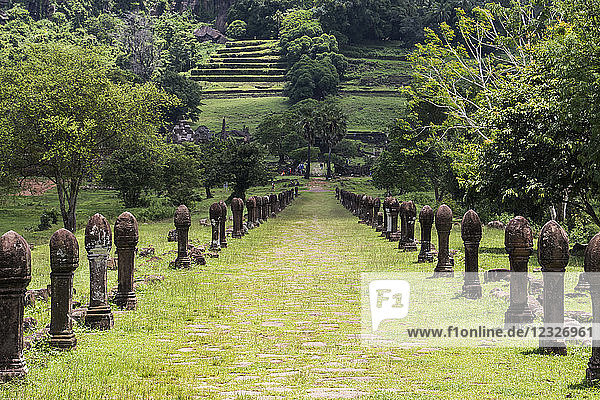 Causeway bordered by sandstone posts  Vat Phou Temple Complex; Champasak  Laos