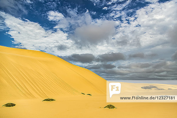 Goldene Sanddünen in der Wüste; Sossusvlei  Hardap-Region  Namibia