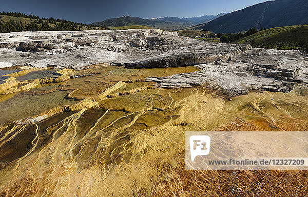 Mammoth Springs  eine heiße Mineralquelle  Yellowstone National Park  Wyoming  Vereinigte Staaten von Amerika