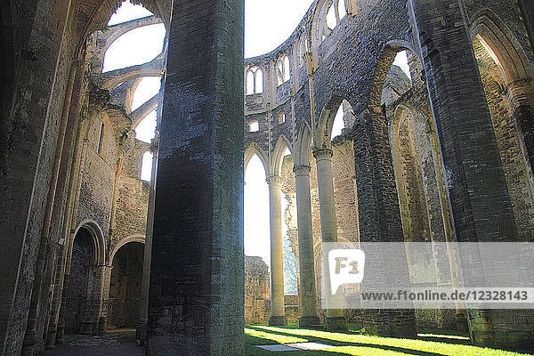 Frankreich  Normandie  Departement Manche (50)  Abtei Hambye  Abteikirche