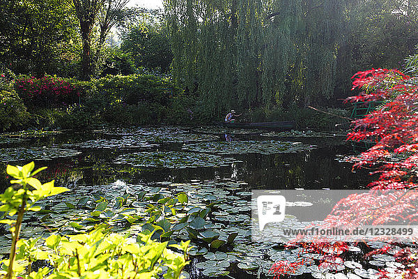 Frankreich  Normandie  Eure (27)  Giverny  Haus und Garten von Claude Monet  Wassergarten