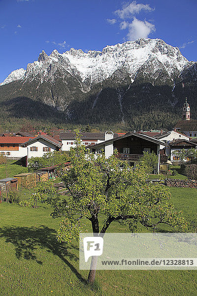 Deutschland  Bayern  Alpen  Mittenwald  Berglandschaft