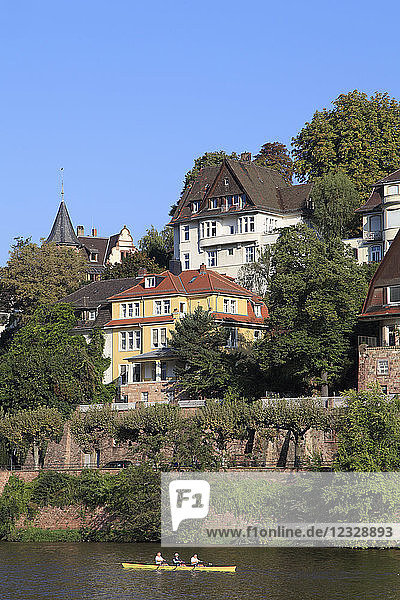 Deutschland  Baden-Württemberg  Heidelberg  Neckar  Ruderboot  Häuser