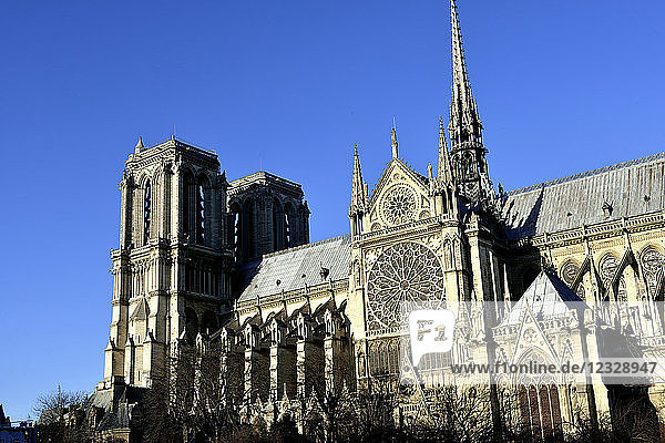 Frankreich  Paris  Kathedrale Notre-Dame auf der Ile de la Cite
