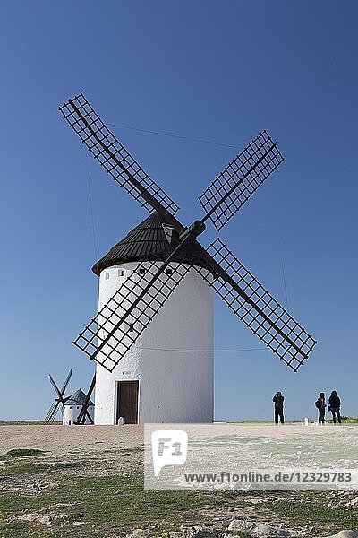 Spanien  Region La Mancha  Gebiet Campo de Criptana  Windmühlen.