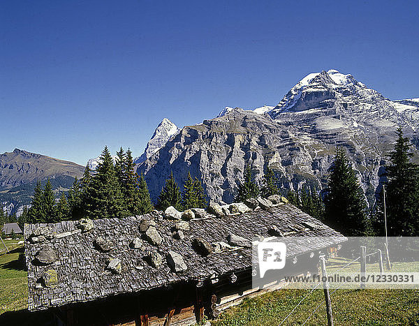 Schweiz  Alpen  Mürren  Berghütte  Jungfraumassiv
