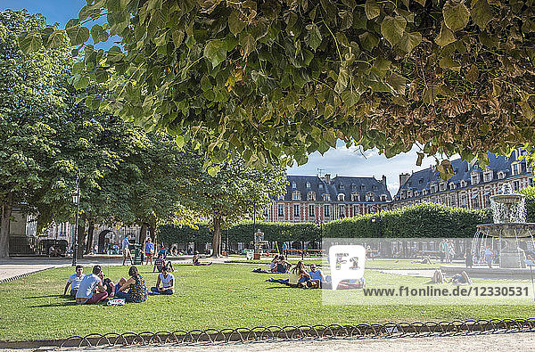 France  Paris 3th and 4th district  public garden on place des Vosges