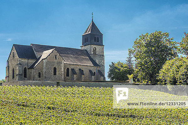 Frankreich  Grand Est  Marne  Villers Allerand Kirche über den Weinbergen  Coteaux de Champagne