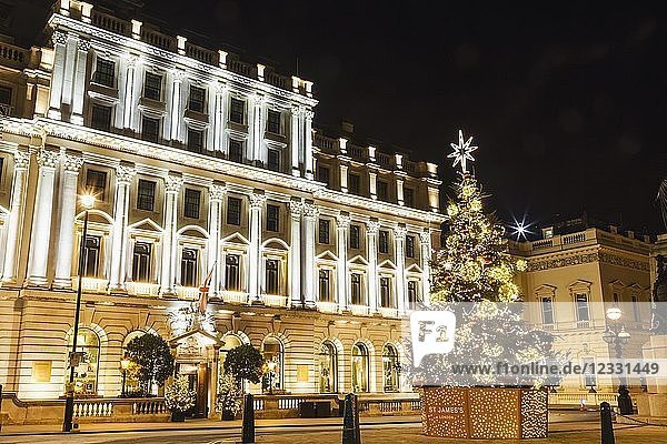 England  London  Regent Street  Waterloo Place  Sofitel London St James Hotel und Weihnachtsbaum