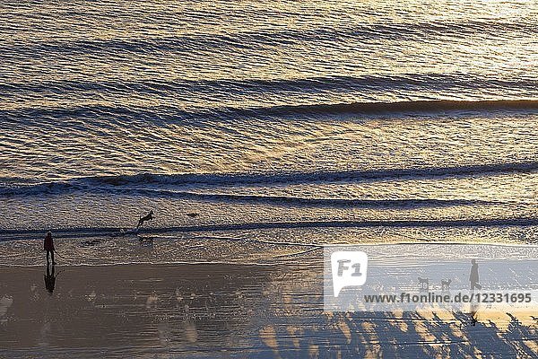 England Yorkshire Scarborough Dog Walkers on Scarborough Beach at Dawn