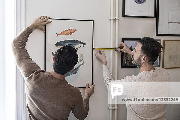Rear view of gay couple hanging painting on wall at home