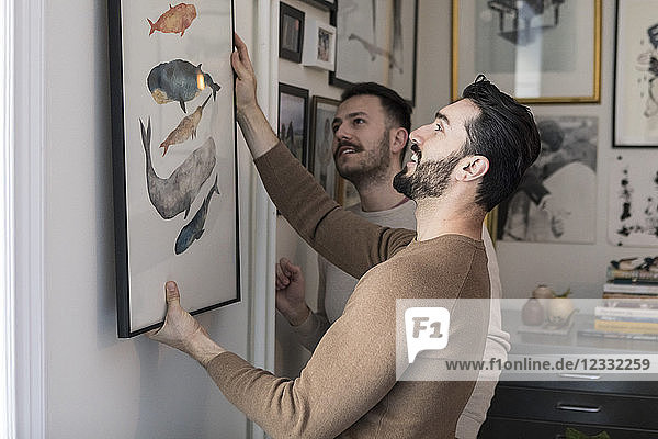 Homosexual couple hanging painting on wall at home