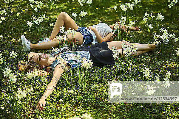 Two friends relaxing on flower meadow