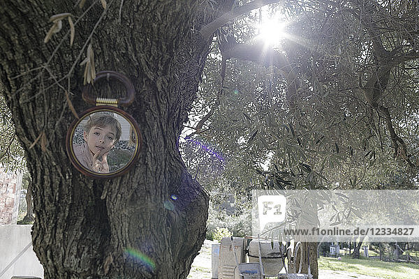 Greece  boy's mirror image at tree trunk