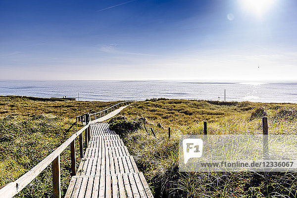 Germany  Schleswig-Holstein  Sylt  wooden walkway through dunes
