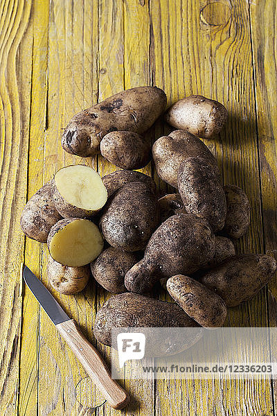 Potatoes 'Moor-Sieglinde'