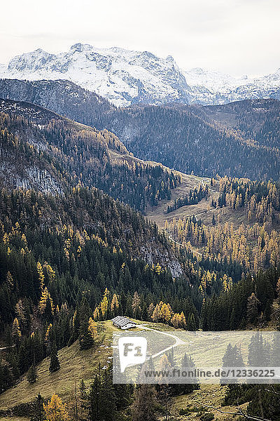 Germany  Bavaria  Berchtesgaden Alps  Schneibstein in autumn