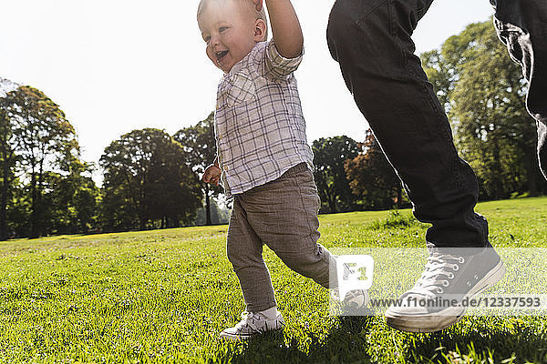 Father walking hand in hand with son in a park