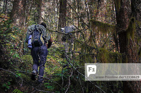 Rückansicht von Wanderern im Wald  Squamish  Kanada