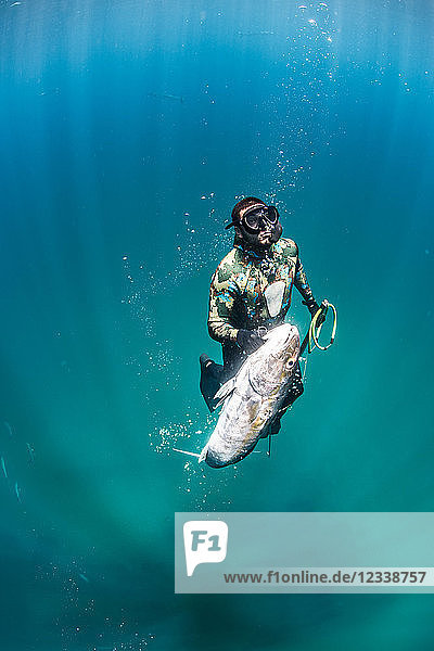 Speerfischer steigt mit seinem Fang auf  Isla Mujeres  Quintana Roo  Mexiko