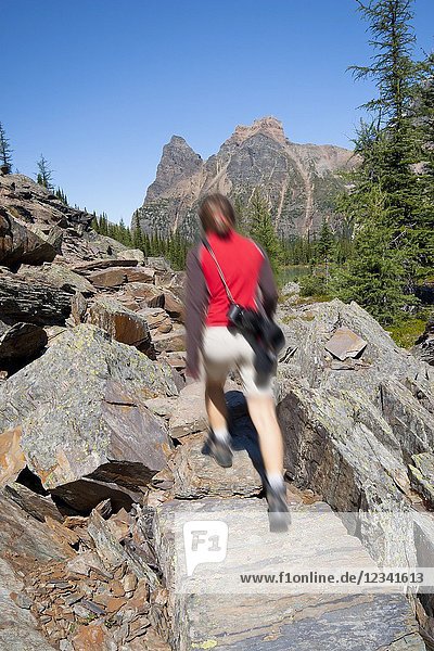 Female hiker motion blurred walking up a trail in scenic rocky mountains. Lake O`Hara area Yoho National Park British Columbia Canada.