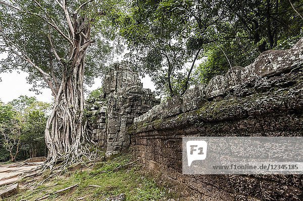 Wall of east gate of Ta som Temple in Angkor compound (Siem Reap Province  Cambodia).