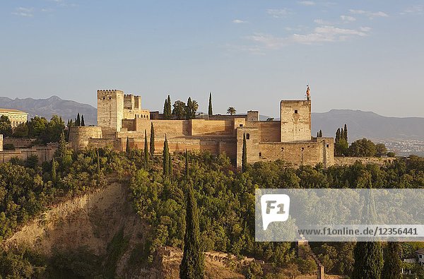 Panoramic view of the Alhambra with Sierra Nevada in the background  Granada  Andalusia  Spain.