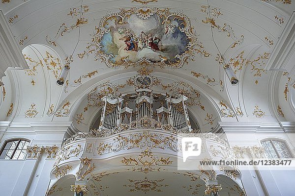 Orgelempore  Kloster Schäftlarn  Oberbayern  Bayern  Deutschland  Europa