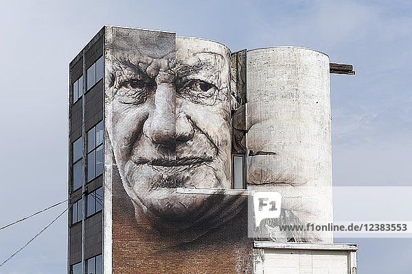 Rugged face of a man  Mural by Australian street artist Guido van Helten  The Crystal Ship Festival 2016  Ostend  West-Flanders  Belgium  Europe