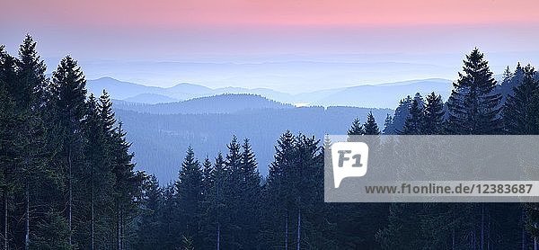Blick über Mittelgebirgslandschaft  hügelige Landschaft mit Wäldern  Sonnenuntergang  Talnebel  Nationalpark Harz  Niedersachsen  Deutschland  Europa